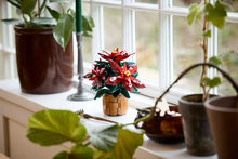 Load image into Gallery viewer, Poinsettia