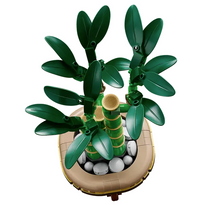 Load image into Gallery viewer, Lucky Bamboo