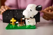 Load image into Gallery viewer, Peanuts: Snoopy's Doghouse