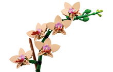 Load image into Gallery viewer, Mini Orchid