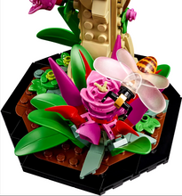 Load image into Gallery viewer, LEGO® Ideas The Insect Collection