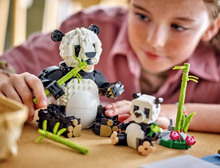 Load image into Gallery viewer, Wild Animals: Panda Family Creator 3-in-1