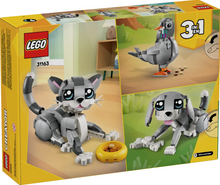 Load image into Gallery viewer, Playful Cat 3-in-1