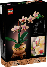 Load image into Gallery viewer, Mini Orchid