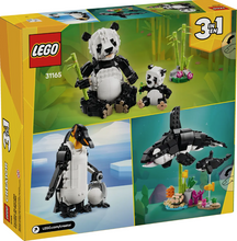 Load image into Gallery viewer, Wild Animals: Panda Family Creator 3-in-1
