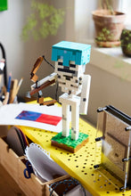 Load image into Gallery viewer, The Skeleton