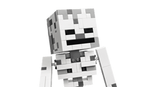 Load image into Gallery viewer, The Skeleton