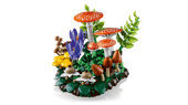 Load image into Gallery viewer, Woodland Mushrooms