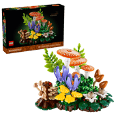 Load image into Gallery viewer, Woodland Mushrooms