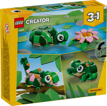 Load image into Gallery viewer, Turtle w/ Water Lily 3-in-1