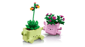 Load image into Gallery viewer, Rocking Plants