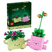 Load image into Gallery viewer, Rocking Plants