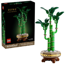 Load image into Gallery viewer, Lucky Bamboo