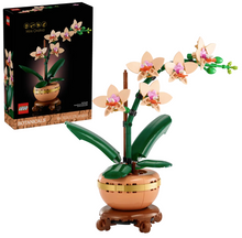 Load image into Gallery viewer, Mini Orchid