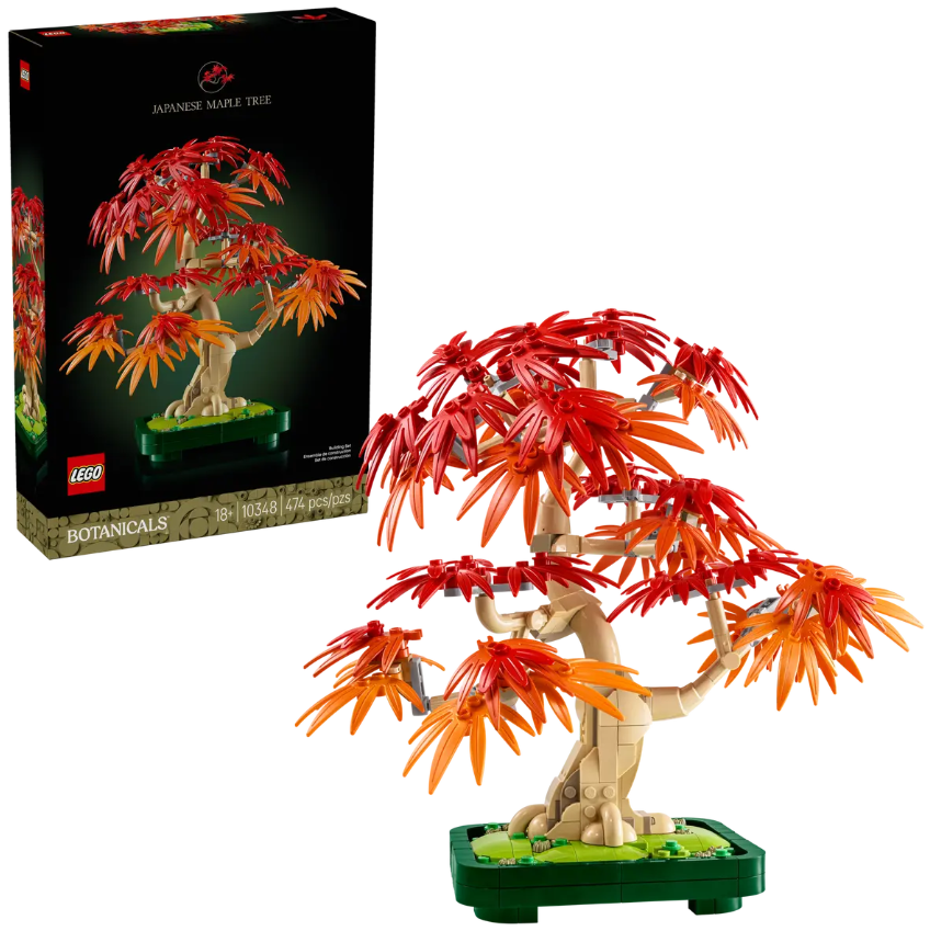 red tree① Japanese Red Maple Bonsai Tree – LEGOLAND® California Resort