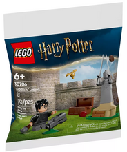 Load image into Gallery viewer, Harry Potter Quidditch Lesson