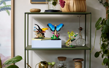 Load image into Gallery viewer, LEGO® Ideas The Insect Collection