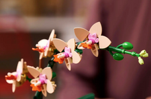 Load image into Gallery viewer, Mini Orchid
