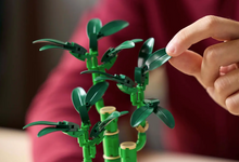 Load image into Gallery viewer, Lucky Bamboo