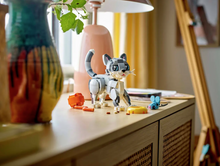 Load image into Gallery viewer, Playful Cat 3-in-1