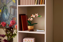 Load image into Gallery viewer, Mini Orchid