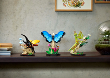 Load image into Gallery viewer, LEGO® Ideas The Insect Collection