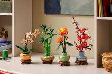 Load image into Gallery viewer, Lucky Bamboo