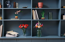 Load image into Gallery viewer, Mini Orchid