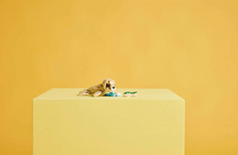 Load image into Gallery viewer, Cute Bunny 3-in-1