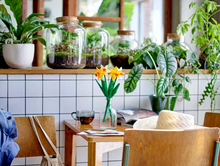 Load image into Gallery viewer, LEGO® Daffodils