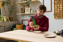 Load image into Gallery viewer, Lucky Bamboo