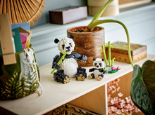 Load image into Gallery viewer, Wild Animals: Panda Family Creator 3-in-1