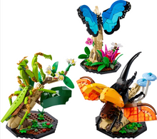 Load image into Gallery viewer, LEGO® Ideas The Insect Collection