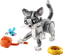 Load image into Gallery viewer, Playful Cat 3-in-1
