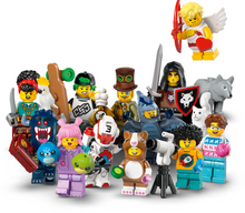 Load image into Gallery viewer, Series 27 Minifigures