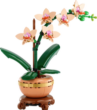 Load image into Gallery viewer, Mini Orchid