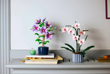 Load image into Gallery viewer, Hibiscus

