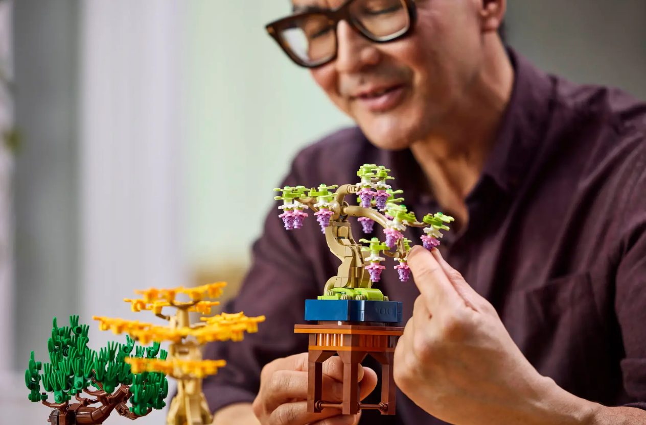 bonsai tree botanical collection Mini Bonsai Trees – LEGOLAND® California Resort Online Shop