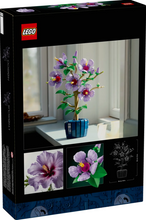 Load image into Gallery viewer, Hibiscus
