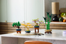 Load image into Gallery viewer, Mini Bonsai Trees
