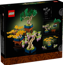 Load image into Gallery viewer, Mini Bonsai Trees
