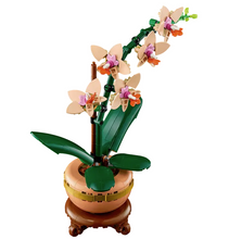 Load image into Gallery viewer, Mini Orchid
