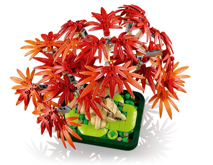 Japanese Red Maple Bonsai Tree – LEGOLAND® California Resort Japanese Red Maple Bonsai Tree – LEGOLAND® California Resort