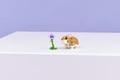 Load image into Gallery viewer, Cute Hamster w/ Flower 3-in-1
