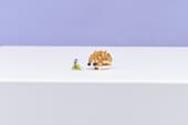 Load image into Gallery viewer, Cute Hamster w/ Flower 3-in-1
