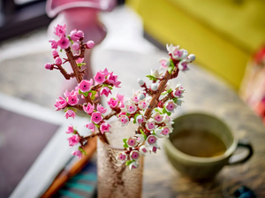 Cherry Blossoms