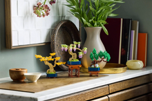 Load image into Gallery viewer, Mini Bonsai Trees
