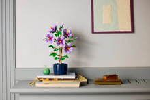 Load image into Gallery viewer, Hibiscus
