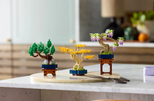 Load image into Gallery viewer, Mini Bonsai Trees
