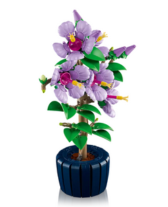 Hibiscus